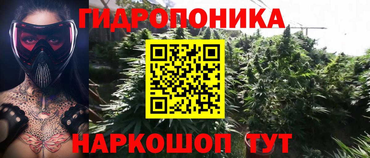 Отрадное  Конопля сатива  Каннабис семена  Канабис конопля  Вход с VPN 